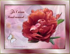 Carte Amour 1