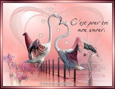 Carte Amour 30