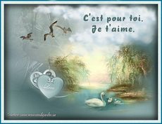 Carte Amour 37