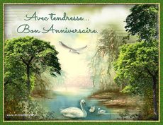 Carte d'anniversaire