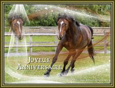 Carte d'anniversaire