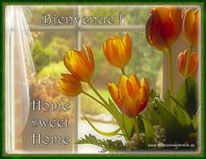 Carte Bienvenue 2