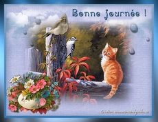 Carte Bonne journ�e / Bonjour