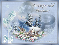 Carte Holidays statique 9
