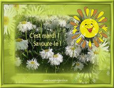 Carte Mardi 1