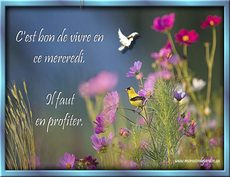 Carte Mercredi 4