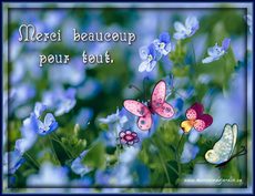 Carte Merci 3
