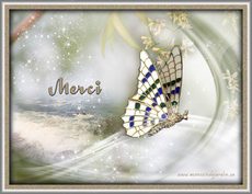 Carte Merci 4