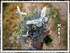 Carte Merci 8