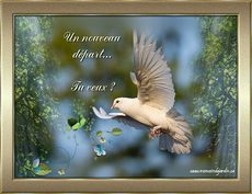 Carte Pardon / Excuses 3