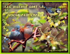 Carte Printemps 4