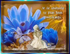 Carte Printemps 11