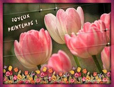 Carte Printemps 1