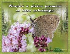 Carte Printemps 3