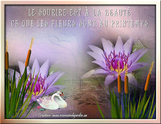 Carte Printemps 9