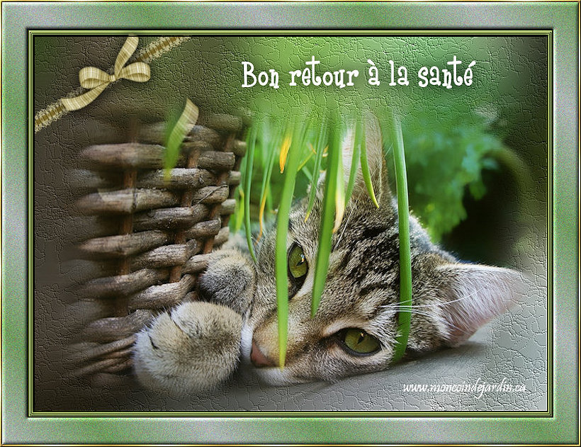 Carte Sant� 3