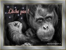 Carte Soyons positifs 4