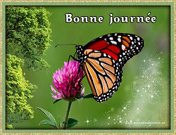 Bonne journ�e/Bonjour